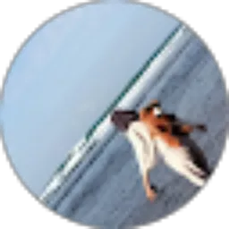 Review From ameliaa