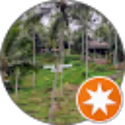 Review From All The Queen's trips