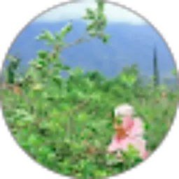 Review From Qurratul Aini