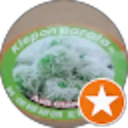 Review From Klepon Barata ib