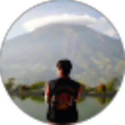 Review From Dimas Aulia Furqan Zain