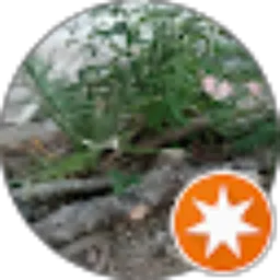 Review From Ai M