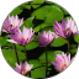 Review From roby pashter