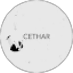Review From cethar