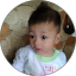 Review From unggul widya
