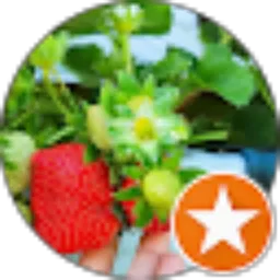 Review From 雅雅