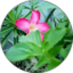 Review From Tarsim_ Wu