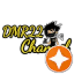 Review From DMR22 channel