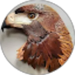 Review From Harley Hiariej
