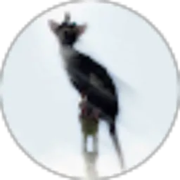 Review From Shiro