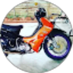 Review From Roy Mardian