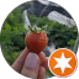 Review From ivan