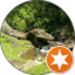 Review From Iskan