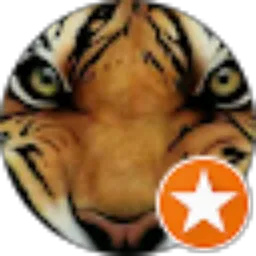 Review From hans channel