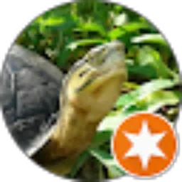 Review From Kewek Kuro