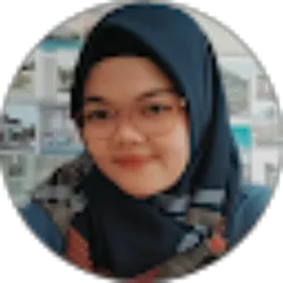 Review From DINISE