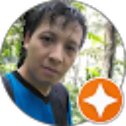Review From Wardiman (Gu Song)