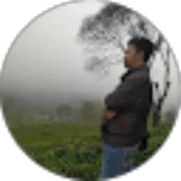 Review From Irvan maulana