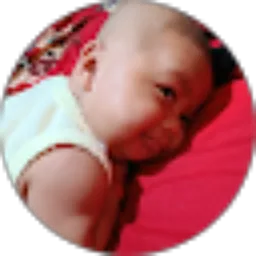 Review From Joko Ariyanto