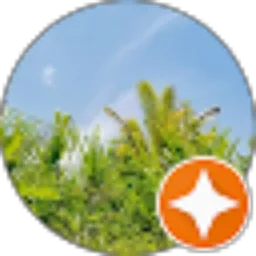 Review From hendra pradiptha
