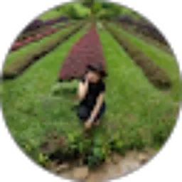 Review From alen pamatan