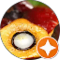 Review From Kasuda Sulistiyo
