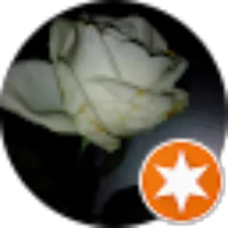Review From Alizah Naryadi