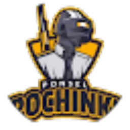 Review From Pochinki Ponsel