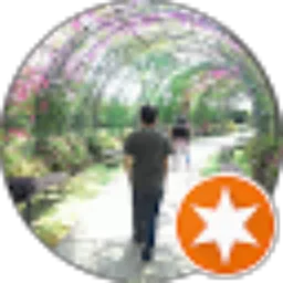 Review From Muhammad Solih