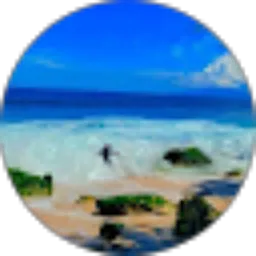Review From Fredi Wanggai