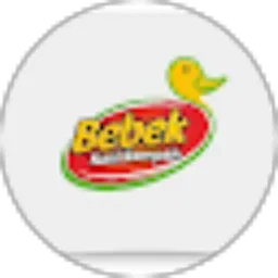 Review From Bebek Nasi Rempah