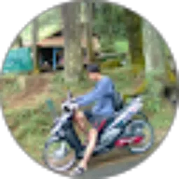 Review From Ilham Budiyanto