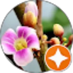 Review From Hany