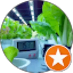 Review From Tutorial Hidroponik