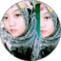 Review From annisa perri