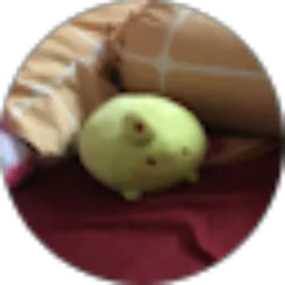 Review From Little Mochiii Cat