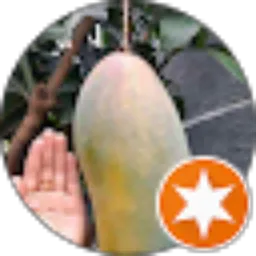 Review From Warlan Wardjono