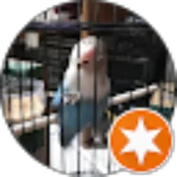 Review From Markonah Jr