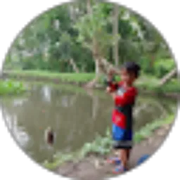 Review From tri agungmp