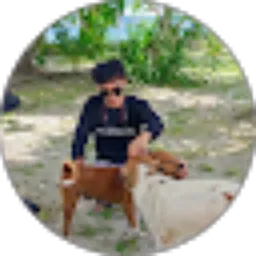 Review From alpha ridho