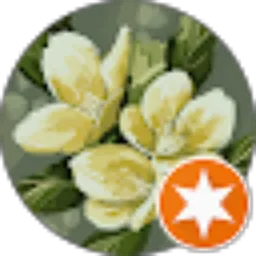 Review From Dwi Yuli