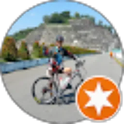 Review From Roland Stefanus