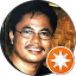 Review From Wayan Bawa