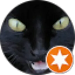 Review From CAT Eyes