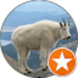 Review From grumblingghost