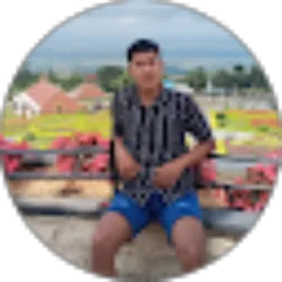 Review From Wayan Basir
