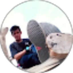 Review From Syaifur Rois