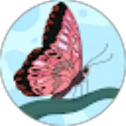 Review From Niswaa