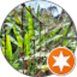 Review From Faisal Muhammad Darip