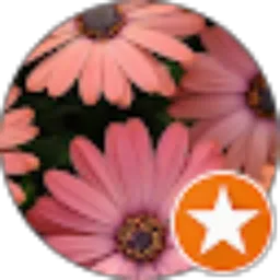 Review From Asni Shofia